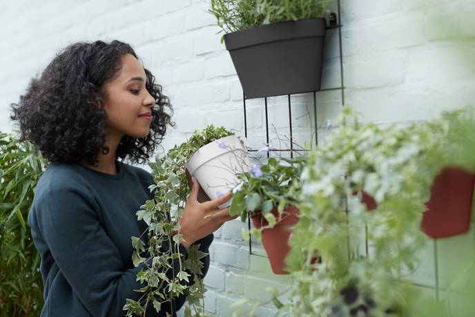 loft urban green wall single 15cm anthrazit